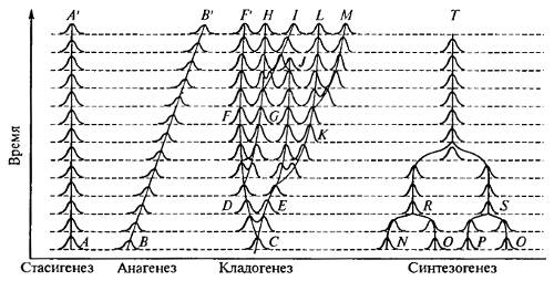 buy Associative forms